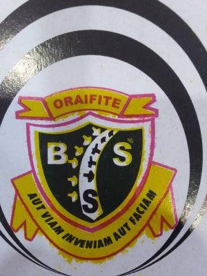 Boys' Secondary School, Oraifite logo